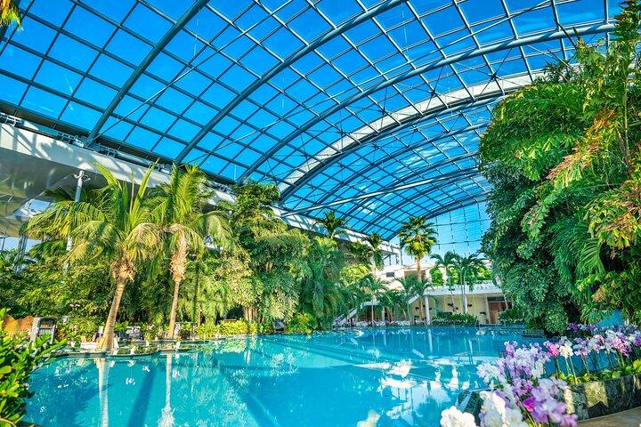 Therme Bucuresti: Entry Ticket and Transfer