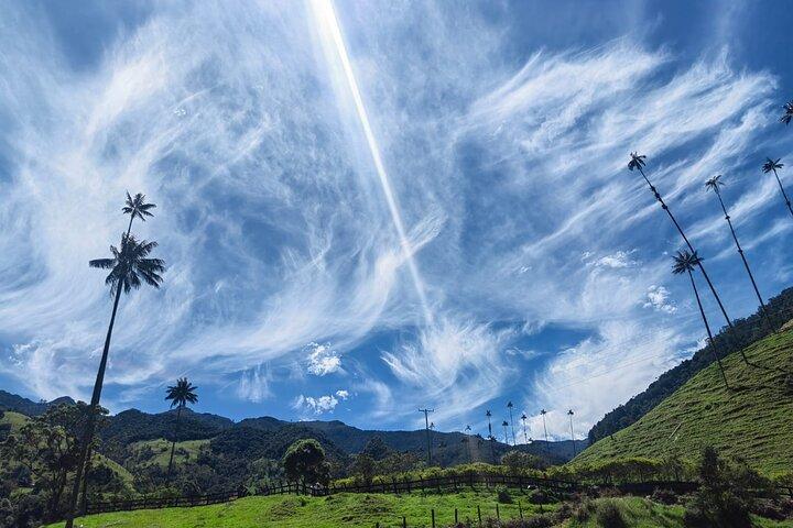 Private Full Day Tour Cocora Salento and Filandia