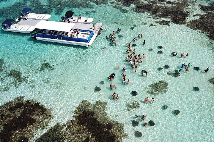 Stingray City Antigua for all the ages - ROUND TRIP INCLUDED