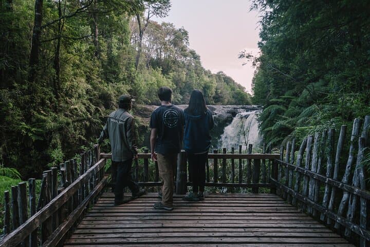 Private Excursion in Tepuhueico Park
