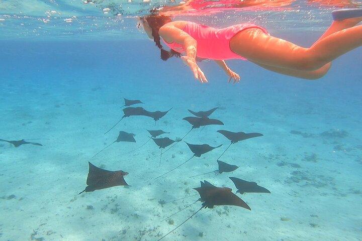 Full-day Lagoon Safari Tour with Lunch in Bora Bora - Shared tour