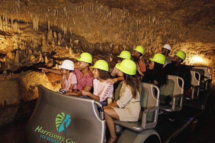 Cave & Monkey Zipline Experience at Harrison's Cave by Chukka