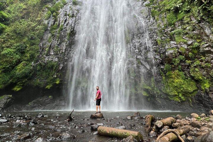 Private tour : Materuni Waterfalls & Coffee Tour with Local Lunch