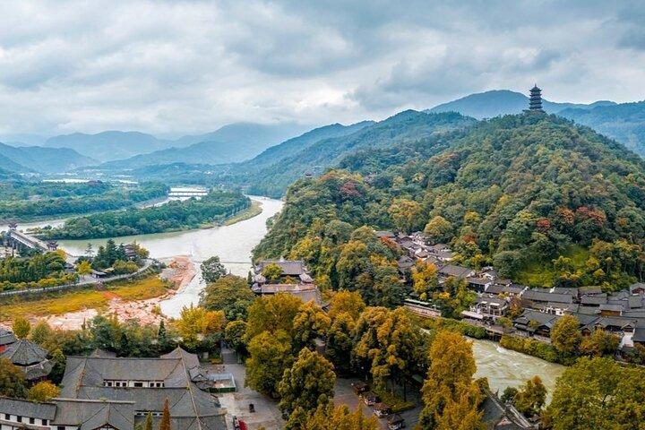 Dujiangyan Panda base & Irrigation System Private Day Tour