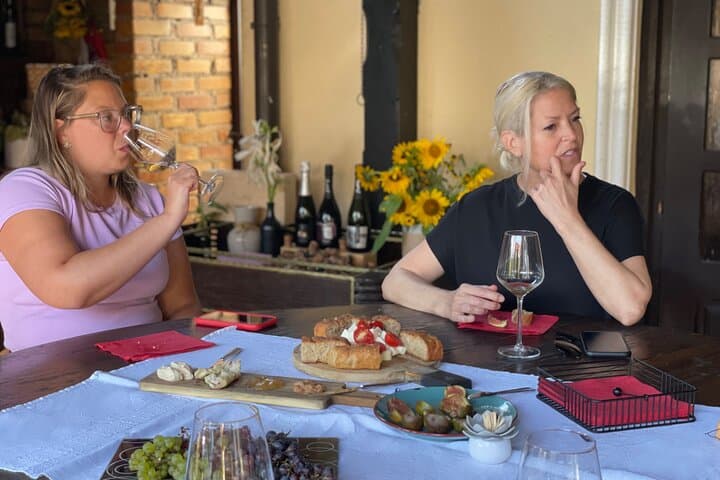 Plesivica countryside Wine Tasting