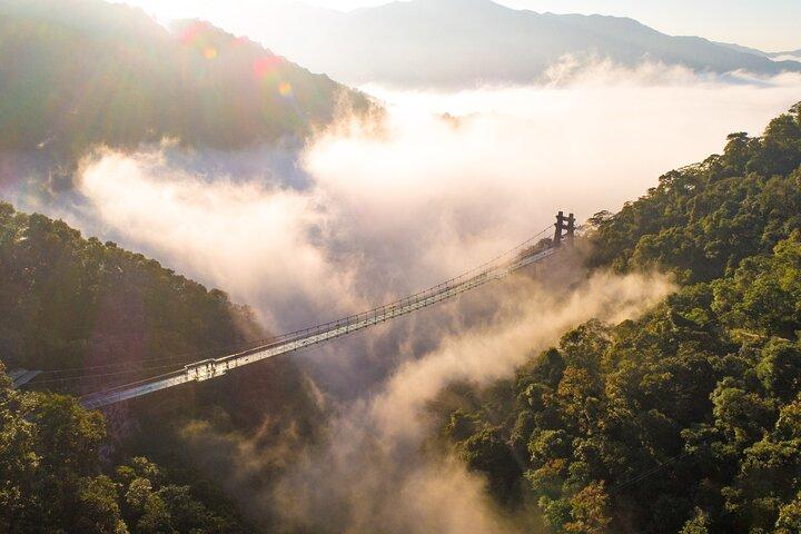 Thrilling Glass Bridge Experience at Gulong Gorge from Guangzhou