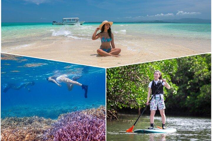 Ishigaki Mangrove SUP or Canoeing and Phantom Island Snorkeling