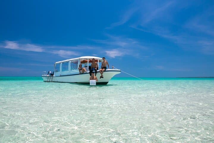 Ishigaki Mangrove SUP or Canoeing and Phantom Island Snorkeling