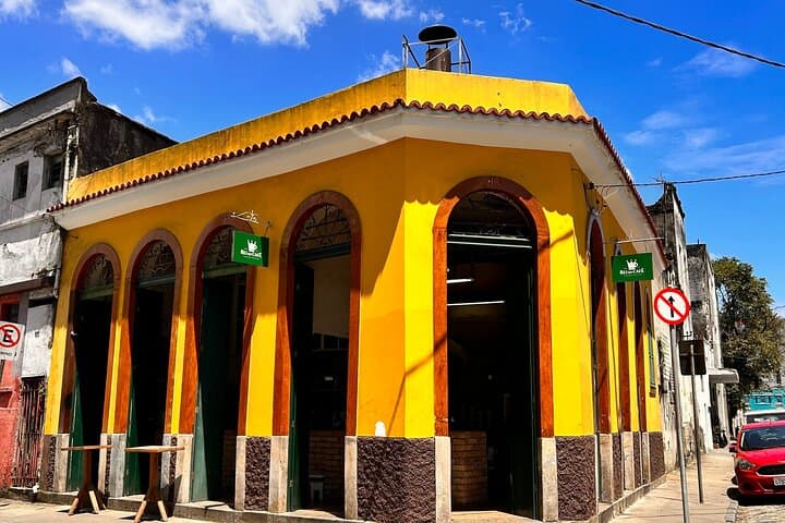 Visit to the King of Coffee