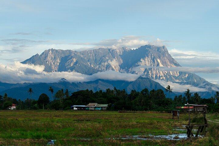 Kota Kinabalu to Kundasang Private Day Tour and Poring Hot SPA