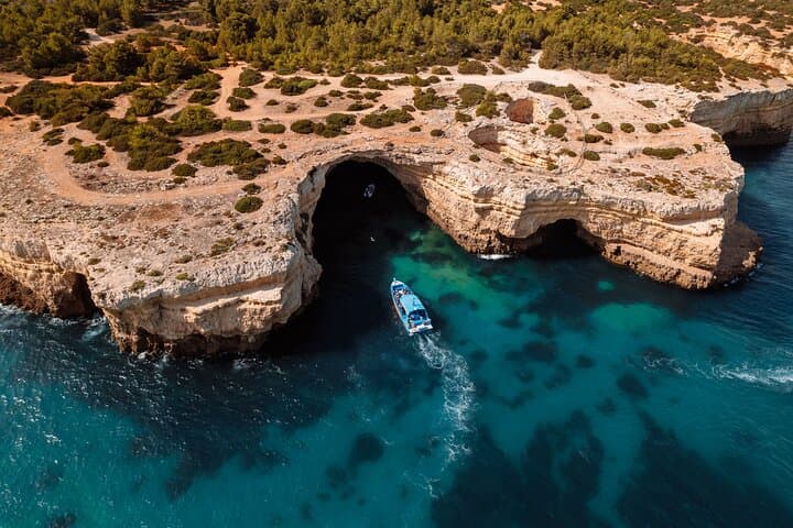 Benagil Caves and Dolphin Watching - 2.5h
