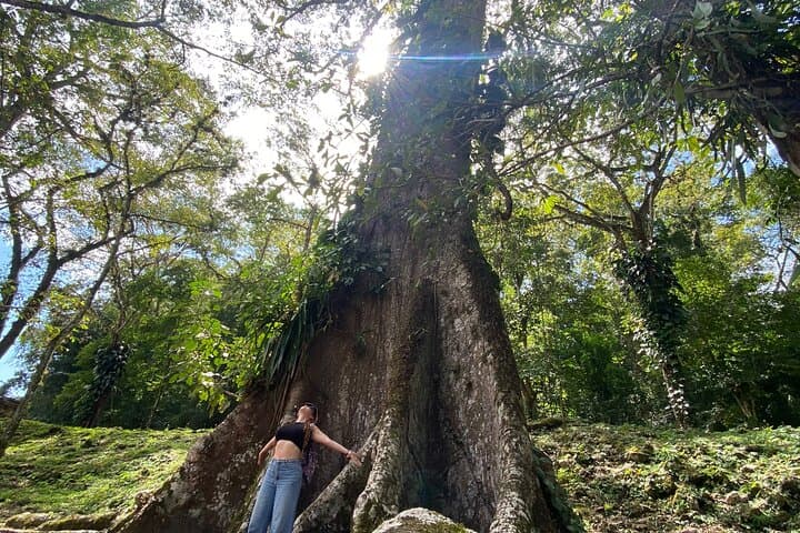Lacandon Jungle And Bonampak Ruins