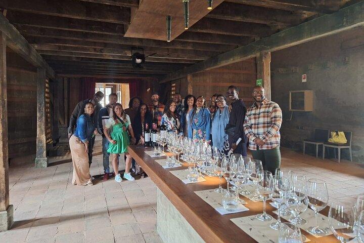 Full Day Private Colchagua Wine Tour from Santiago