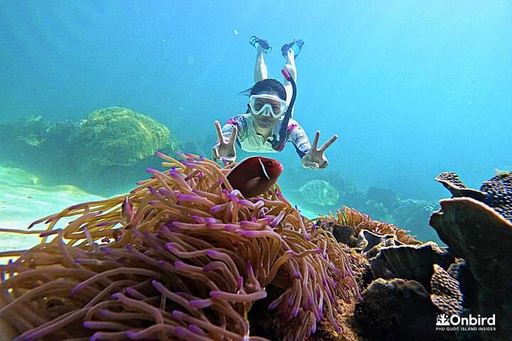 Phu Quoc: Discovery Snorkeling Tour with Island BBQ (Max 12 pax)