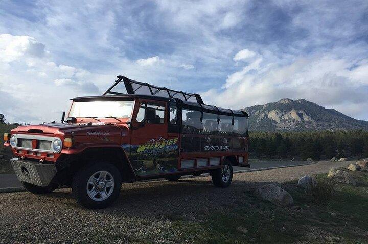 Sunset Wildlife Tour (Wildside 4x4 Tours)