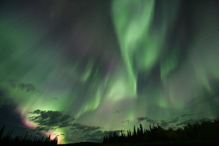 Small Group Yukon Aurora Viewing