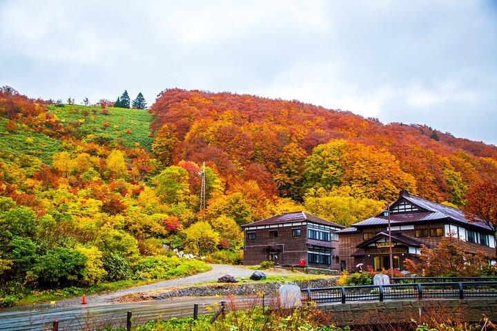 Aomori Private Customizable 6-Hour Tour