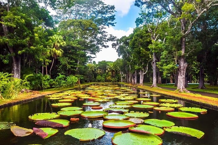 The Complete North: Full Day Private guided North Tour