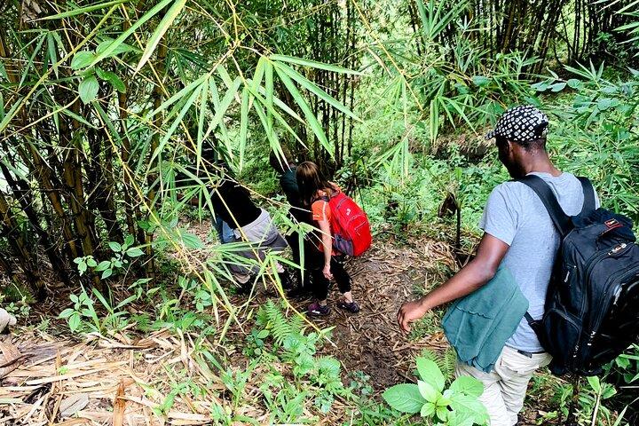 Hiking Binana Mountain & Waterfalls in Rwanda