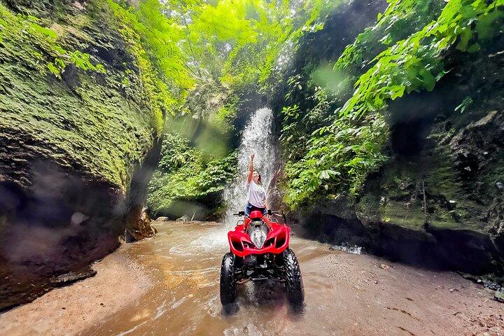 KUBER ATV UBUD - Tunnel Waterfall Rice field Jungle w Private Car