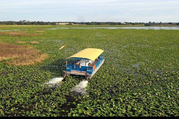 90 Minute Florida Everglades Wildlife Boat Tour