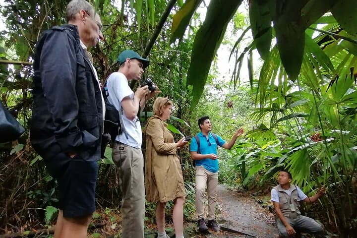Taste of Ecuador: Fish Market, Forest trail, Local Food & Crafts