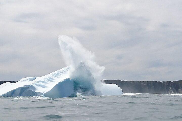 3 Hour Ocean Safari by Zodiac - Whales & Icebergs Seasonally