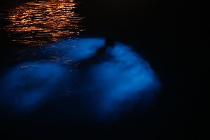 Grand Cayman Private Boat Charter - Bioluminescent Bay