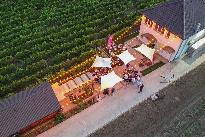 Unveilling the Essence: Gabai Winery's Captivating Wine Tours