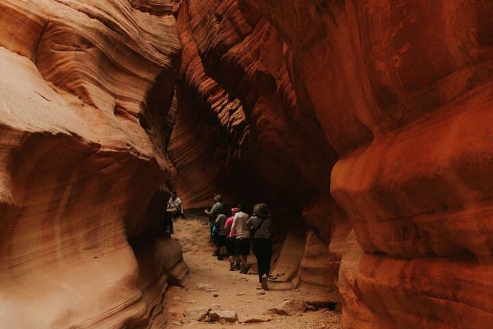 Peekaboo Slot Canyon + Great Chamber Loop - UTV - YOU DRIVE!