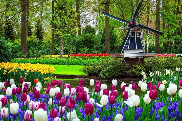 Keukenhof - spring garden from Rotterdam, Delf & The Hague
