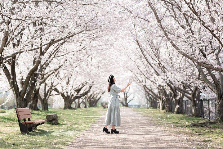 1 Hour Private Photoshoot in Sendai