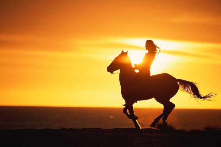 Agadir/Taghazout: Beach Horseback Riding Experience