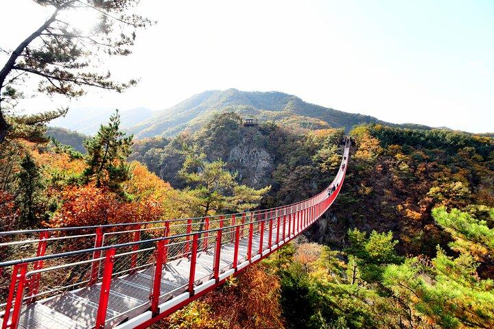 Seoul DMZ Tour with 3rd Tunnel and Red Suspension Bridge