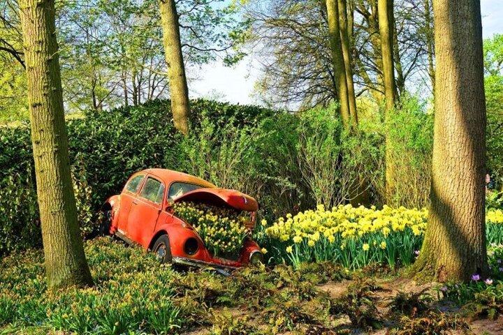 Private Tour to Tulips Keukenhof Windmills and Cheese Farm