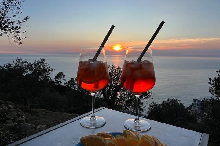 Cesarine: Sunset Spritz Masterclass with Dinner in Cinque Terre