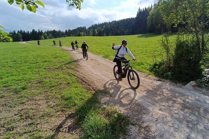 Guided e-bike tour of the alpine pastures in the Salzkammergut