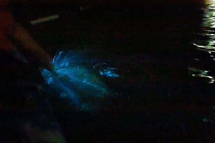2-Hours Bioluminescence Tour by Kayak in Paquera