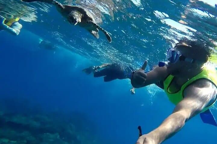 Isla del Caño snorkel tour from Drake Bay (Cano island)