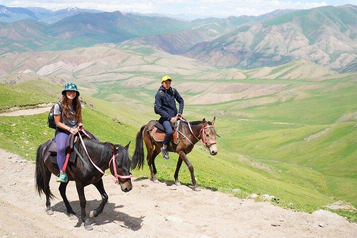 3 Day Horse Tracking to Song Kul Small Group Tour