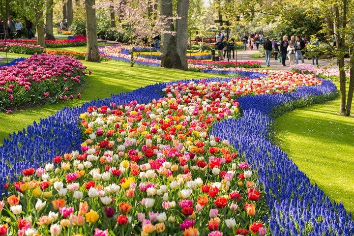 From Amsterdam: Keukenhof Gardens Ticket and Transfer