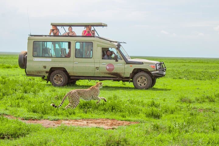6 Day Tanzania Wildlife Mid range Private Safari
