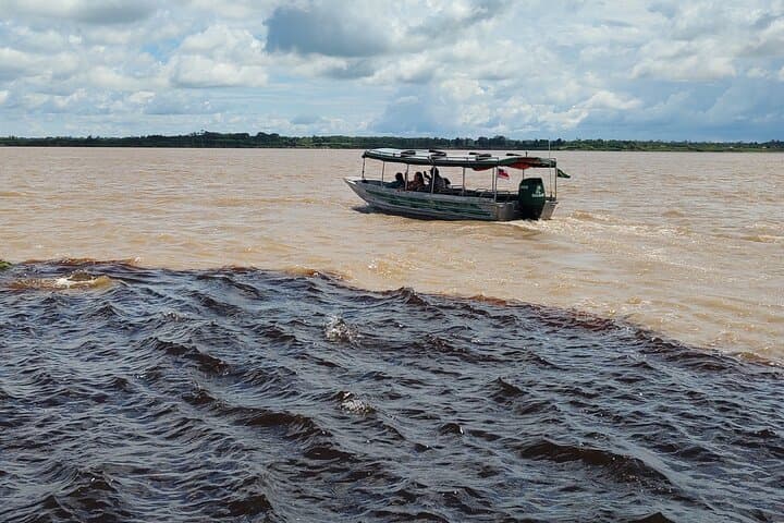 Private Full-Day Tour - The Amazon River Beauties