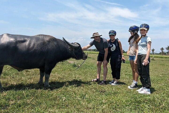 Hoi An Countryside Cycling Tour with basket boat & Fun cooking