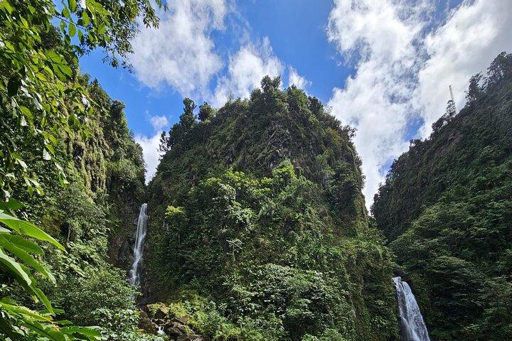 Relax in Hot Springs and swim in Titou Gorge and Trafalgar Falls