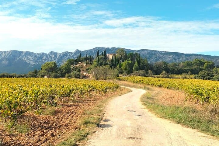 Boutique Sainte-Victoire Wine Tour with Gourmet Picnic & Pétanque