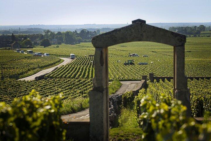 Full-Day Burgundy Wine & Gastonomy: Tastings & Gourmet Lunch