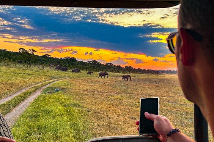 Game Drive in Zambezi National Park, Victoria Falls