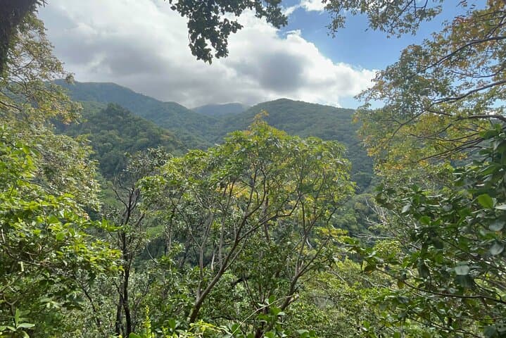 Guided Hike St Kitts: Wingfield Rainforest and Romney Experience