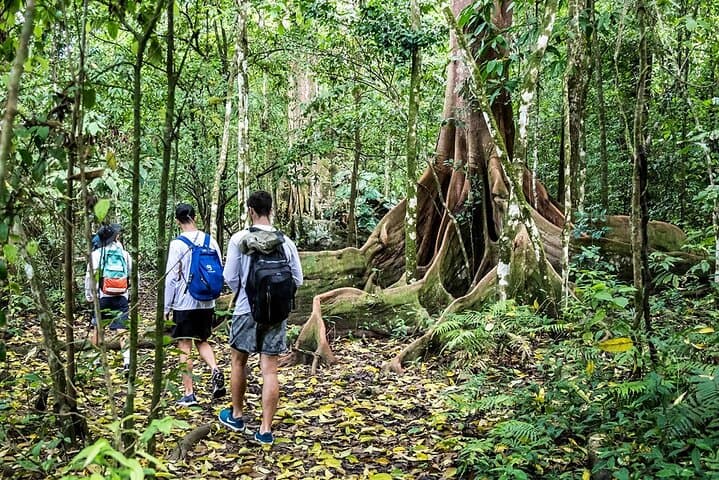 Pacheco Tours - Corcovado National Park San Pedrillo Station